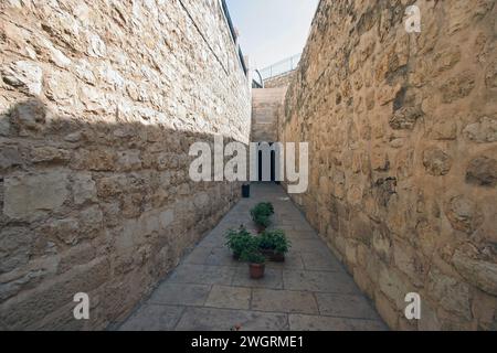 Grotta Cattolica del Getsemani, detta anche Grotta del tradimento, Monte degli Ulivi, Gerusalemme, Israele Foto Stock