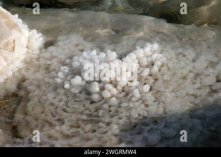 Rocce saline cristallizzate lungo le rive del Mar morto, Israele Foto Stock