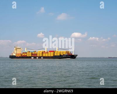 Nave alimentatrice di container MSC Kayla in navigazione a Westerschelde nei Paesi Bassi in rotta verso il porto di Anversa, Belgio Foto Stock