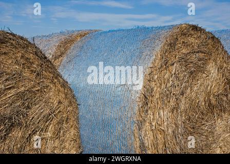 Balle di fieno close up Foto Stock