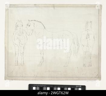 Studio anatomico di un cavallo, dal fronte, di profilo a sinistra e da dietro, Anonimo, dopo il 1800 - prima del 1899 disegnando carta olandese (possibilmente). penna a inchiostro Foto Stock