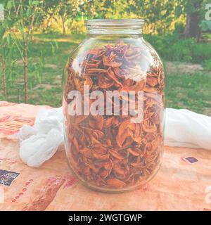 Frutta secca biologica fatta in casa in un vaso nel giardino Foto Stock