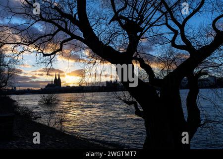 Vista dal Rheinpark nel quartiere Deutz sul Reno fino alla cattedrale di Colonia, Germania. Blick vom Rheinpark a Deutz ueber den Rhein zu Foto Stock