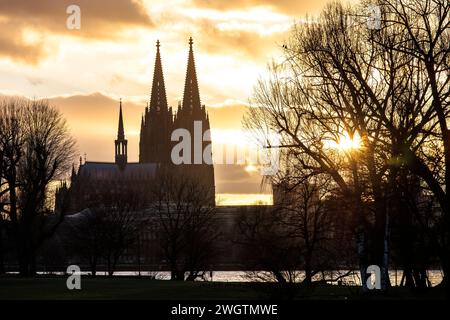 Vista dal Rheinpark nel quartiere Deutz sul Reno fino alla cattedrale di Colonia, Germania. Blick vom Rheinpark a Deutz ueber den Rhein zu Foto Stock