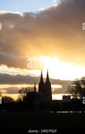 Vista dal Rheinpark nel quartiere Deutz sul Reno fino alla cattedrale di Colonia, Germania. Blick vom Rheinpark a Deutz ueber den Rhein zu Foto Stock