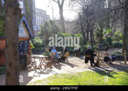 Sole invernale su Gordon Square, un parco pubblico a Bloomsbury, Londra e parte della tenuta di Bedford, Regno Unito Foto Stock