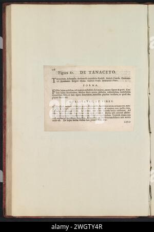 Fig. 60 "De Tanaceto" nel Boodts Herbarium del 1640, Anselmus Boëtius de Boodt, 1640 foglio di testo Beschrijving bij Fig. 60 op p. 118 in: Anselm Boët of Boot I.C. Brugensis & Rodolphi 2. Imp. Roman. Medici dalle camere da letto di fiori, erbe e frutti di icone selettive, e la forza dei più sconosciuti. Onderdeel van het album met Bladen en platen Shipped de Boodts Herbarium van 1640. Het twaalfde van twaalf album met Aquarellen van dieren, vogels en planten bekend Rond 1600, gemaakt in Opdracht van Keizer Rudolf 2. Carta usata. inchiostro stampa letterpress Foto Stock