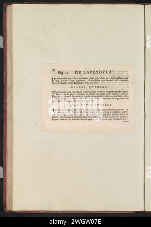 Fig. 55 "De Lavendvla" nel Boodts Herbarium del 1640, Anselmus Boëtius de Boodt, 1640 foglio di testo Beschrijving bij Fig. 55 op p. 108 in: Anselm Boë de Boot I.C. Brugensis & Rodolphi 2. Imp. Roman. Medici dalle camere da letto di fiori, erbe e frutti di icone selettive, e la forza dei più sconosciuti. Onderdeel van het album met Bladen en platen Shipped de Boodts Herbarium van 1640. Het twaalfde van twaalf album met Aquarellen van dieren, vogels en planten bekend Rond 1600, gemaakt in Opdracht van Keizer Rudolf 2. Carta usata. inchiostro stampa letterpress Foto Stock