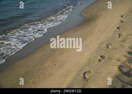 Europa, Francia, Sud della Francia, Mèze, Herault, Languedocroussillon, spiaggia sabbiosa, estate, foto estiva, Marseillan-Plage Foto Stock