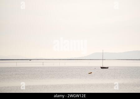 Europa, Francia, Sud della Francia, Mèze, Herault, Languedocroussillon, spiaggia sabbiosa, estate, foto estiva, Mèze, Étang de Thau Foto Stock