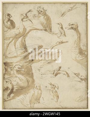 Studies van vogels, Francis Barlow (attribuito a), 1636 - 1702 Drawing Studies of Birds, tra cui: Gru, aironi, anatra, gufo, turchia. carta. penna a inchiostro/pennello per uccelli da spiaggia e uccelli da guado: heron Foto Stock