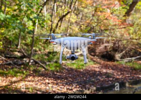 Volo aereo autunnale con droni sopra la riserva forestale Foto Stock