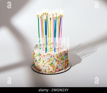 Torta bento di compleanno con alte candele, luce del sole, giorno di sole Foto Stock