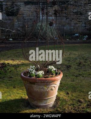 Ornamental Pot with snowdrops at Easton Walled Gardens Foto Stock
