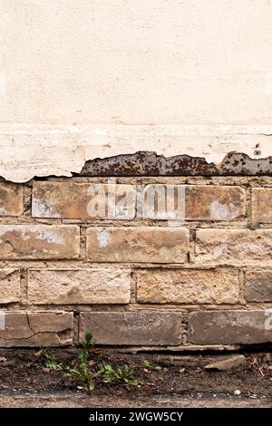 Peeling vernice su un vecchio muro di mattoni da vicino Foto Stock