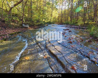 Aerial Autumn Stream a Woodland - Hathaway Preserve, Indiana Foto Stock