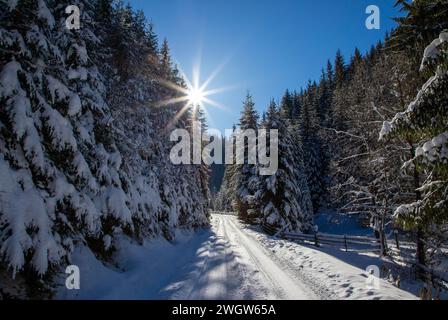 Un bellissimo paesaggio montano con una strada che attraversa foreste di pini ricoperte di neve in inverno con cielo azzurro e bagliore del sole Foto Stock