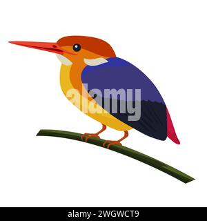 KingFisher, uccello con ali blu e becco seduto sull'illustrazione vettoriale del ramo dell'albero Illustrazione Vettoriale