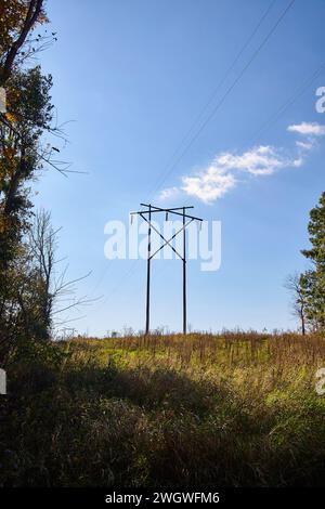 Paesaggio rurale autunnale con Torre elettrica e albero sparso Foto Stock