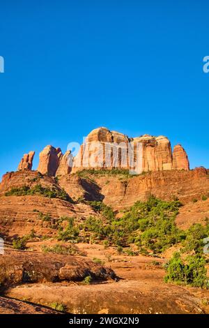 Sedona Red Rock Majesty con cielo blu e flora del deserto Foto Stock