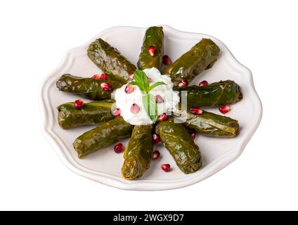 Pazi sarma. Piatto tradizionale turco a base di foglie di bietola ripiene di riso e spezie, sarmale, dolmades, dolmadaki, dolmadakia Foto Stock
