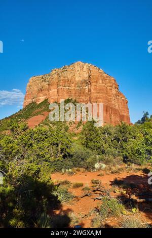 Red Rock Majesty a Bell Rock, Sedona con Desert Flora Foto Stock