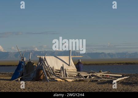 Bruce Inglangasak, campo di pesca che fuma il coregone bianco Coregonus nasus al campo e 1002 pianura costiera e alaska artica Foto Stock