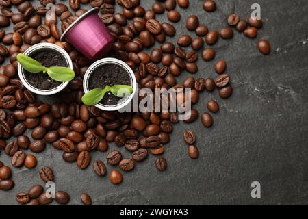 Capsule di caffè con piantine e chicchi su un tavolo nero, piatto. Spazio per il testo Foto Stock