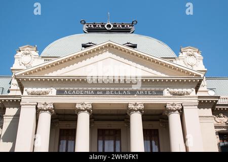 Museo delle Belle Arti di Santiago, Cile Foto Stock