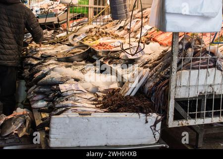 Il mercato centrale del Cile, noto anche come Mercado Central, è un vivace e vivace mercato situato nel cuore di Santiago. Foto Stock