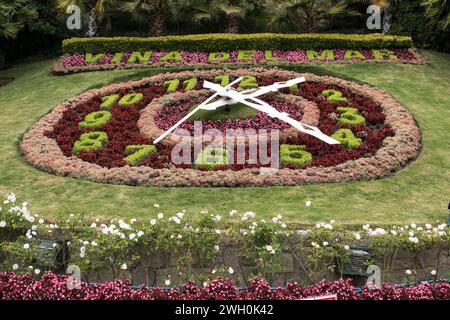 Flower Clock, è un importante punto di riferimento situato a Viña del Mar, Cile. E' un grande orologio fatto interamente di fiori. Foto Stock