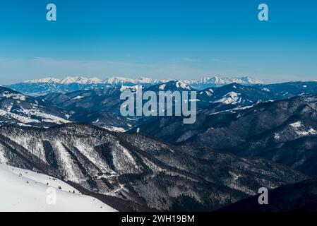 Monti Tatra e la più vicina collina di Salatin nelle montagne di Nizke Tatry dalla collina di Krizna in inverno le montagne di Velka Fatra in Slovacchia Foto Stock