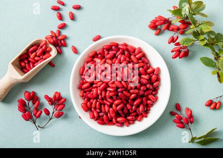 Mucchio di Berberis vulgaris noto anche come Barberry comune, Barberry europeo o Barberry su piatto su sfondo blu. Frutta medicinale a base di erbe commestibile. Foto Stock