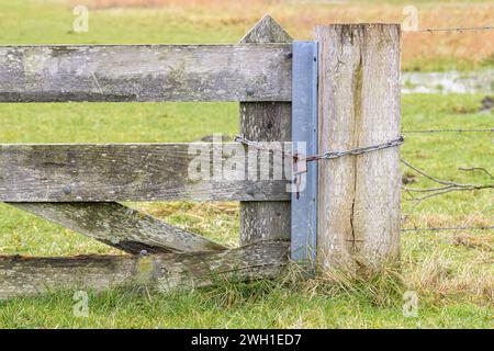 Primo piano di un cancello in legno chiuso con una catena di ferro e un lucchetto. Foto Stock