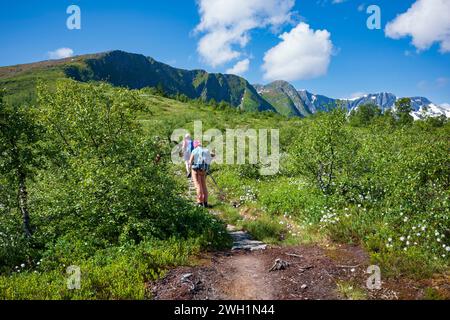Balestrand, Norvegia, 28 giugno 2023: A view of dandelions as those white puffball whose seed line a Stone path found in a hike to Raudmelen Peak d Foto Stock
