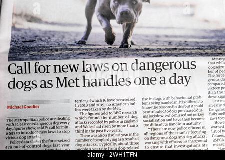 "Richiedi nuove leggi sui cani pericolosi come MET gestisce uno al giorno", il quotidiano Guardian, articolo 5 febbraio 2024, Londra Foto Stock