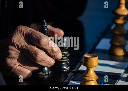 Mani di anziani pensionati che tengono figurine a scacchi nel parco pubblico di Belgrado, bella giornata di sole Foto Stock