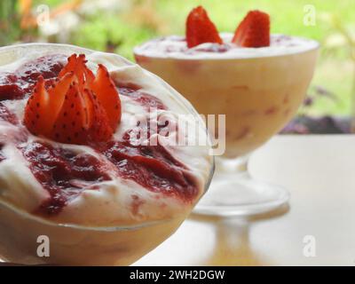 Le due ciotole di deliziosi dessert poste su un rustico tavolo di legno. Foto Stock