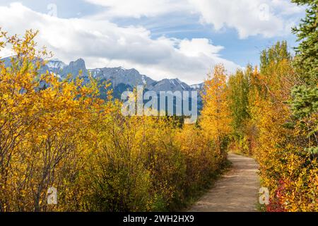 Spring Creek, sentiero sul lungomare di Policeman Creek nella stagione autunnale. Città di Canmore, Alberta, Canada. Foto Stock