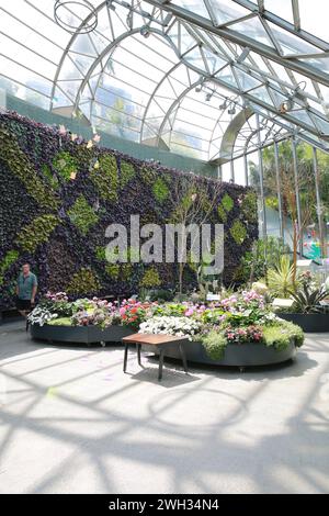 The Living Wall in the Calyx, Royal Botanical Gardens, Sydney, Australia Foto Stock