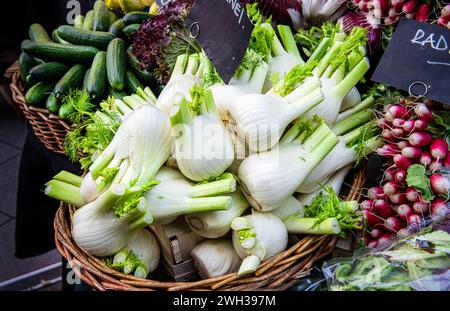 Primo piano delle lampadine di finocchio in mostra sul mercato del fruttivendolo, che i clienti possono vedere. Foto Stock