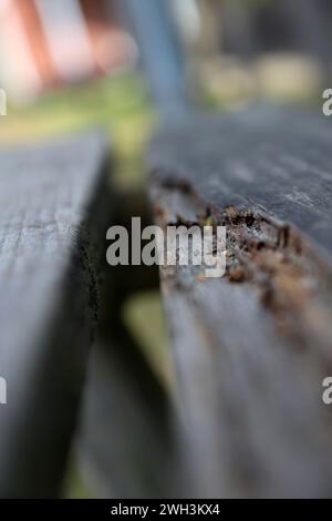 Immagine di sfondo di un parco giochi con attrezzature distrutte dal vandalismo Foto Stock