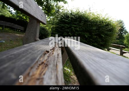 Immagine di sfondo di un parco giochi con attrezzature distrutte dal vandalismo Foto Stock