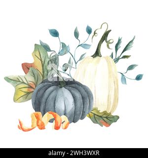 Composizione di zucca bianca e blu acquerello, zucche floreali, clip art di Halloween, elementi di design autunnali, allestimento autunnale, raccolto clip art isolato Foto Stock