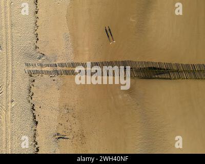 Vista a volo d'uccello della spiaggia sabbiosa, lunghe ombre sulla sabbia dai pali frangiflutti in legno Foto Stock