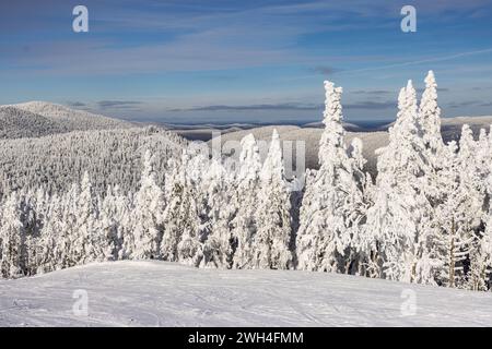 Panorama invernale del Monte Tremblant: Sciare tra le maestose montagne e le foreste di conifere innevate. Laurentians, Quebec Foto Stock