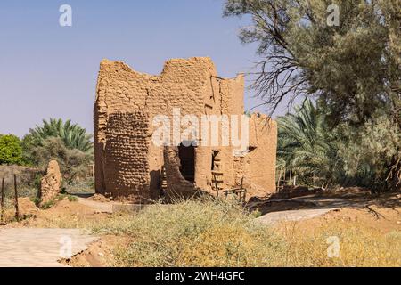 Ushaiger Heritage Village, Riyadh, Arabia Saudita, Medio Oriente. Vecchio edificio in mattoni di fango nell'Ushaiger Heritage Village. Foto Stock