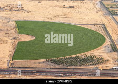 Medio Oriente, Arabia Saudita, Medina, al-Ula. Irrigazione circolare nel deserto saudita, vista da una mongolfiera. Foto Stock