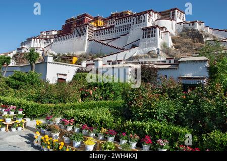 Un tempo sede del Dalai Lama, il Palazzo di Potala è stato dichiarato Patrimonio dell'Umanità dall'UNESCO nel 1994 ed è una popolare attrazione turistica a Lhasa. Foto Stock