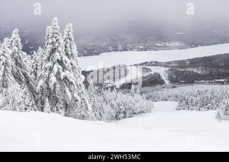 Mont Tremblant Winter Wonderland Majesty con piste da sci: Una vista mozzafiato dei pini e dei percorsi sciistici Snow-Laden, che offrono una perfetta fuga invernale Foto Stock